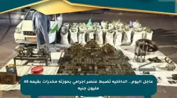 عاجل اليوم.. الداخلية تضبط عنصر إجرامي بحوزته مخدرات بقيمة 46 مليون جنيه